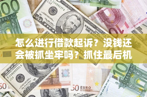武汉怎么进行借款起诉？没钱还会被抓坐牢吗？抓住最后机会！
