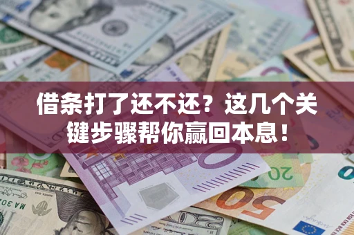 武汉借条打了还不还？这几个关键步骤帮你赢回本息！