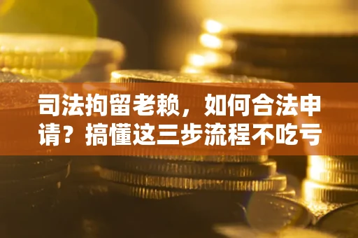 武汉司法拘留老赖，如何合法申请？搞懂这三步流程不吃亏！
