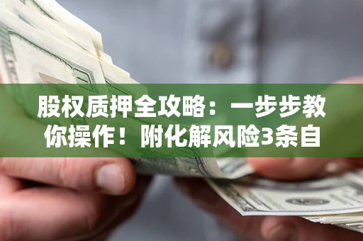 武汉股权质押全攻略：一步步教你操作！附化解风险3条自救法则