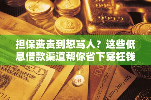 武汉担保费贵到想骂人？这些低息借款渠道帮你省下冤枉钱