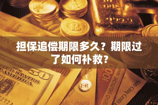 武汉担保追偿期限多久？期限过了如何补救？