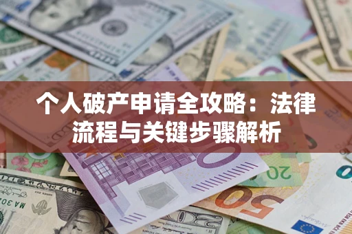 武汉个人破产申请全攻略：法律流程与关键步骤解析